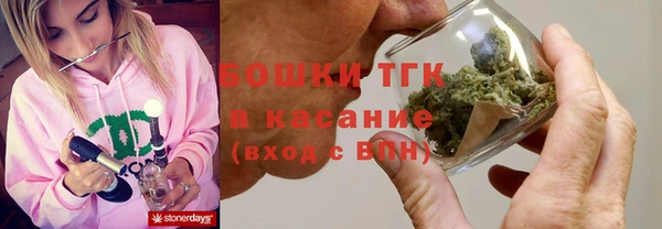 мяу мяу кристалл Корсаков