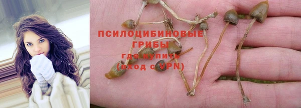 mdpv Козельск
