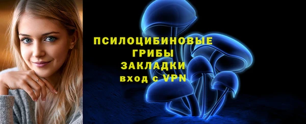 мяу мяу кристалл Корсаков