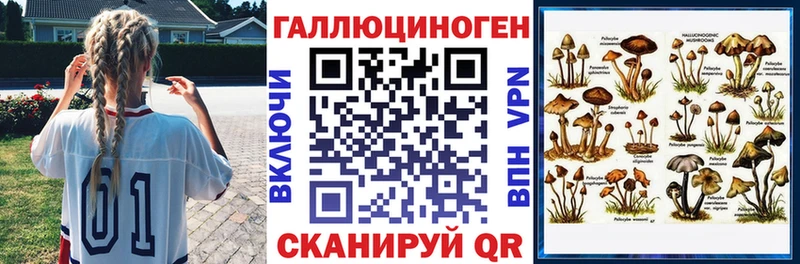MEGA зеркало  Невинномысск  Псилоцибиновые грибы Cubensis 