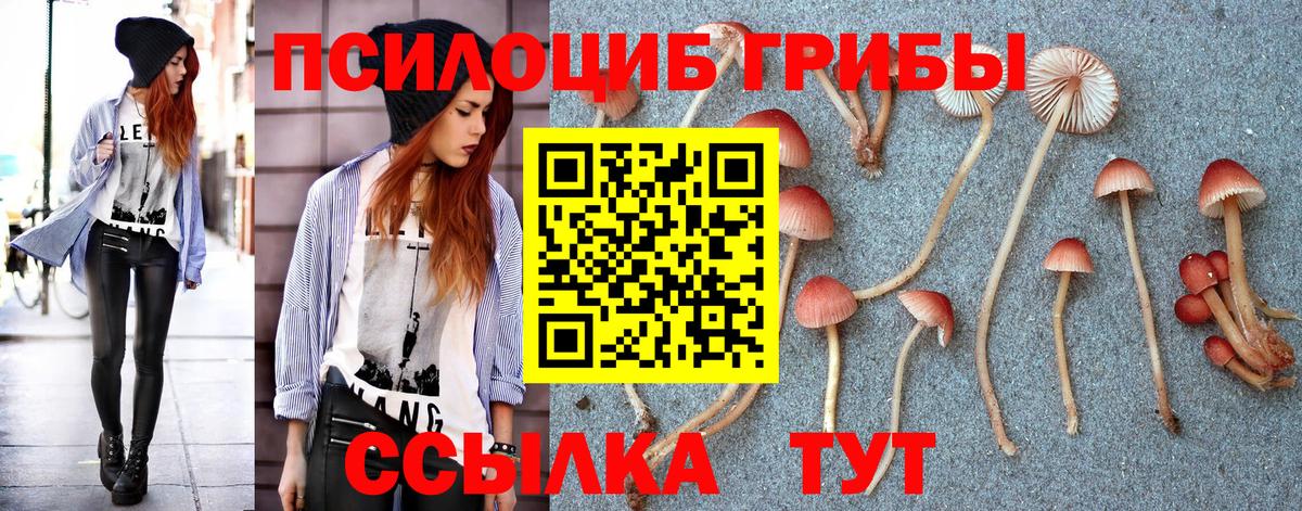 Галлюциногенные грибы Cubensis Невинномысск
