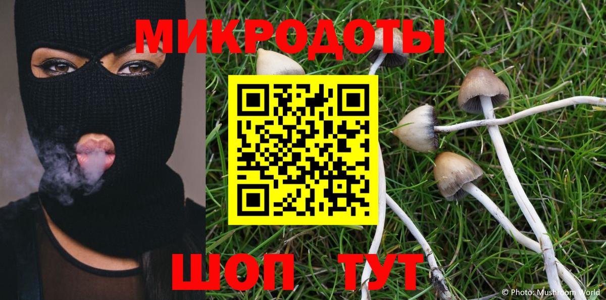 Псилоцибиновые грибы Psilocybe Невинномысск