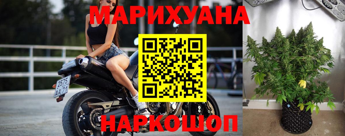 Каннабис план Невинномысск